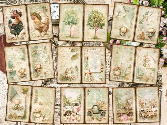 Páginas do Jornal dos Jardins Vintage (P6)