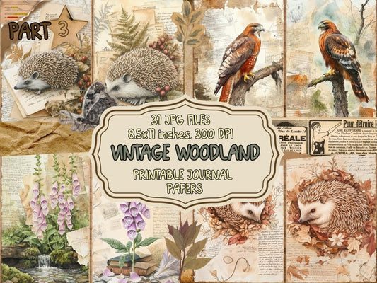 Vintage Woodland Journal Pages (P3) Antique Woodland Kit - Wonders Artist