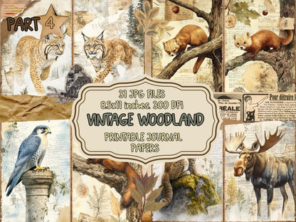 Vintage Woodland Journal Pages (P4) Antique Woodland Kit - Wonders Artist