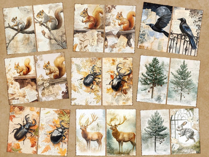 Vintage Woodland Journal Pages (P5) Antique Woodland Kit - Wonders Artist