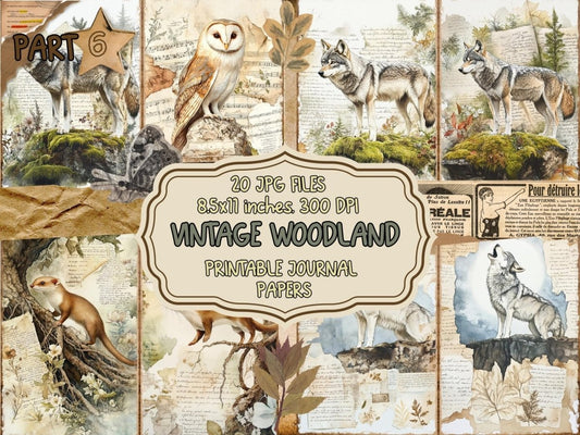 Vintage Woodland Journal Pages (P6) Antique Woodland Kit - Wonders Artist
