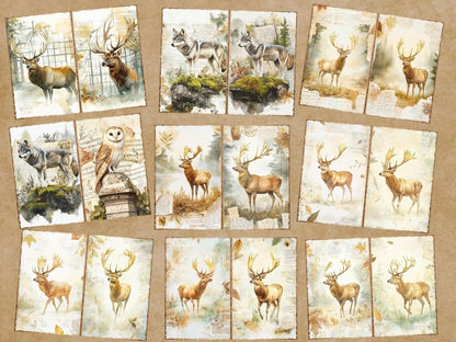 Vintage Woodland Journal Pages (P6) Antique Woodland Kit - Wonders Artist