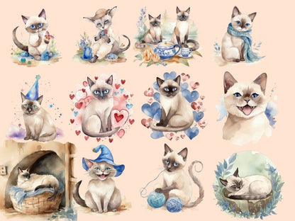Watercolor Siamese Cats Clipart cat clipart - Wonders Artist
