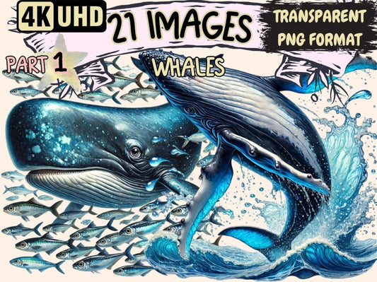 Whales Clipart Aquatic Animal Art - Wonders Artist