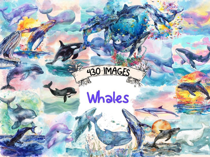 Whales Watercolor Clipart Baby Whale Art - Wonders Artist