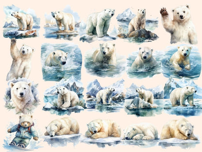 White Bears Watercolor Clipart arctic animals png - Wonders Artist