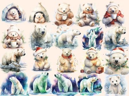 White Bears Watercolor Clipart arctic animals png - Wonders Artist