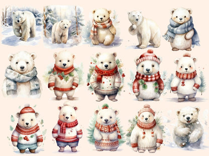 White Bears Watercolor Clipart arctic animals png - Wonders Artist