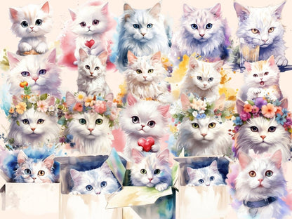 White Cats Watercolor Clipart baby cat clipart - Wonders Artist