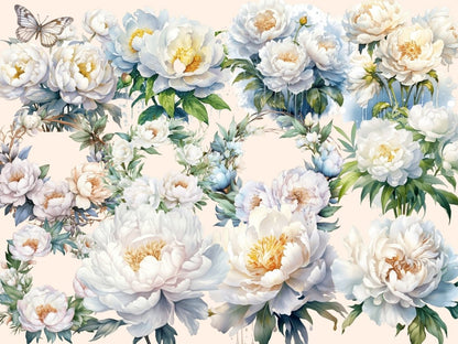 White Peonies Watercolor Clipart boho peony - Wonders Artist