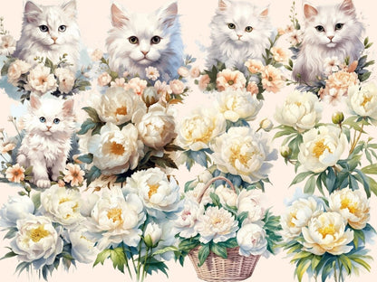 White Peonies Watercolor Clipart boho peony - Wonders Artist