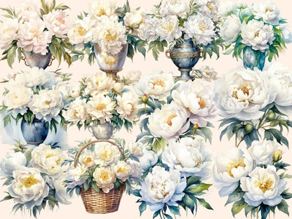 White Peonies Watercolor Clipart boho peony - Wonders Artist