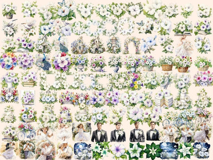 White Petunias Watercolor Clipart petunia clipart - Wonders Artist