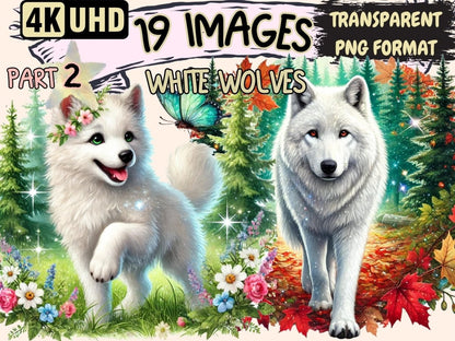 White Wolves (P2) Clipart snowy wolf PNG - Wonders Artist