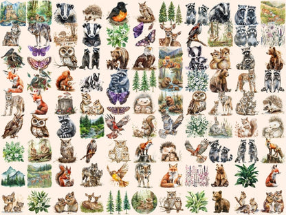 Wild Woodland Watercolor Clipart Forest Animals - Wonders Artist