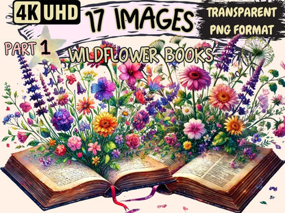 Wildflower Books Clipart book design - Wonders Artist