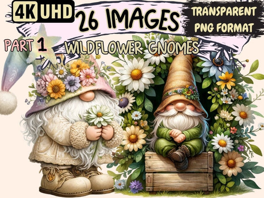 Wildflower Gnomes Clipart cartoon gnomes - Wonders Artist