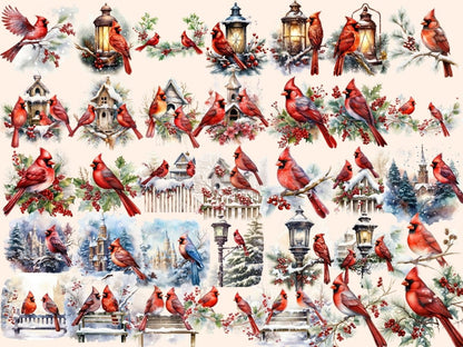 Winter Cardinals Watercolor Clipart cardinal clipart - Wonders Artist