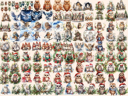 Winter Owls Watercolor Clipart christmas birds png - Wonders Artist