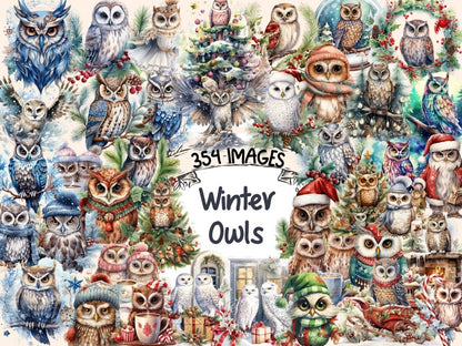 Winter Owls Watercolor Clipart christmas birds png - Wonders Artist
