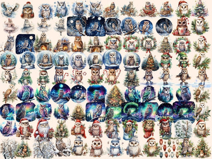 Winter Owls Watercolor Clipart christmas birds png - Wonders Artist