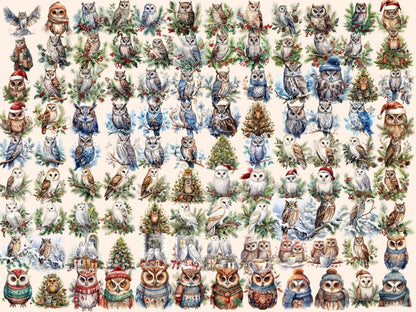 Winter Owls Watercolor Clipart christmas birds png - Wonders Artist