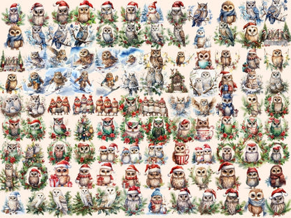 Winter Owls Watercolor Clipart christmas birds png - Wonders Artist