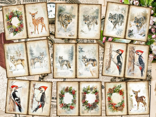 Strony Dziennika Leśnego Zimy (P1)