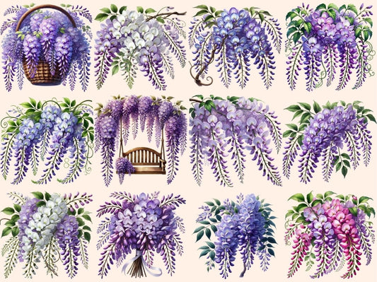 Wisteria Flowers Clipart