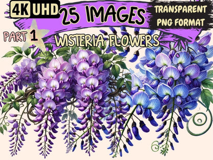 Wisteria Flowers Clipart Floral Wisteria Art - Wonders Artist