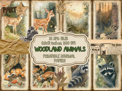 Woodland Animals Animal Ephemera - Wonders Artist