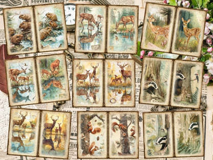 Woodland Animals Animal Ephemera - Wonders Artist