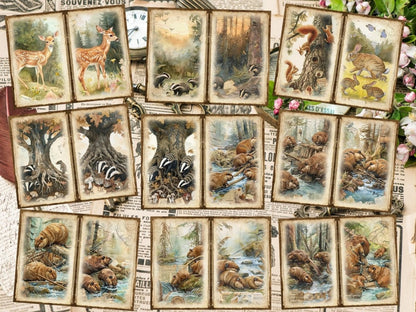 Woodland Animals Animal Ephemera - Wonders Artist