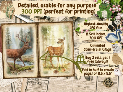 Woodland Animals Journal Pages (P2) Animal Ephemera - Wonders Artist