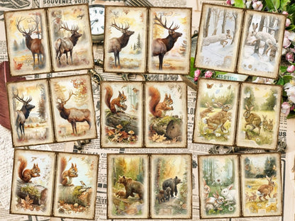Woodland Animals Journal Pages (P2) Animal Ephemera - Wonders Artist