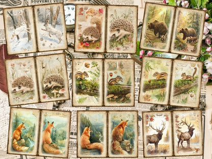 Woodland Animals Journal Pages (P2) Animal Ephemera - Wonders Artist