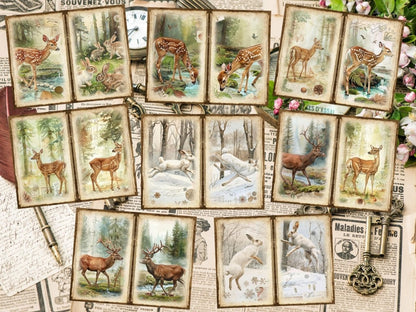 Woodland Animals Journal Pages (P2) Animal Ephemera - Wonders Artist
