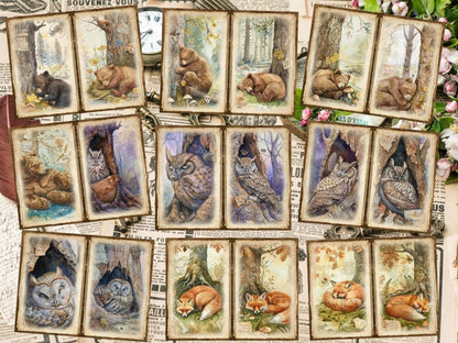 Woodland Animals Journal Pages (P4) Animal Ephemera - Wonders Artist
