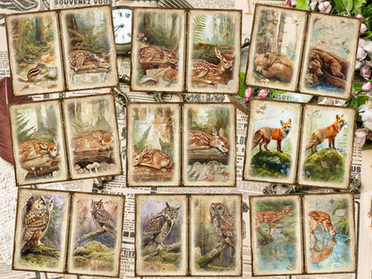 Woodland Animals Journal Pages (P4) Animal Ephemera - Wonders Artist