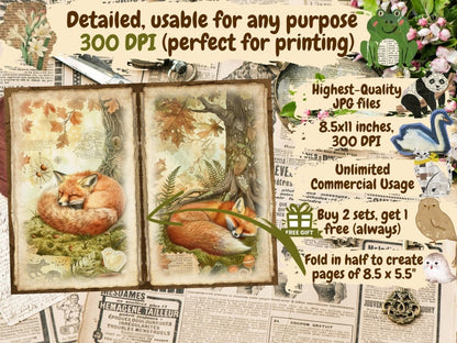 Woodland Animals Journal Pages (P4) Animal Ephemera - Wonders Artist