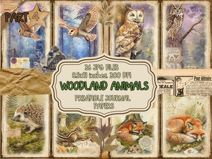 Woodland Animals Journal Pages (P4) Animal Ephemera - Wonders Artist