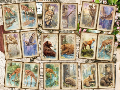 Woodland Animals Journal Pages (P4) Animal Ephemera - Wonders Artist