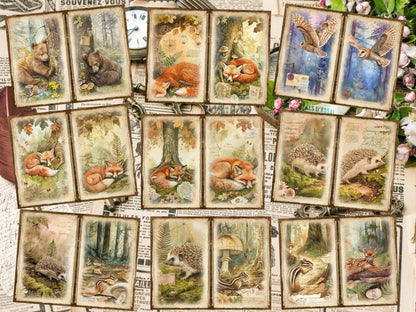 Woodland Animals Journal Pages (P4) Animal Ephemera - Wonders Artist
