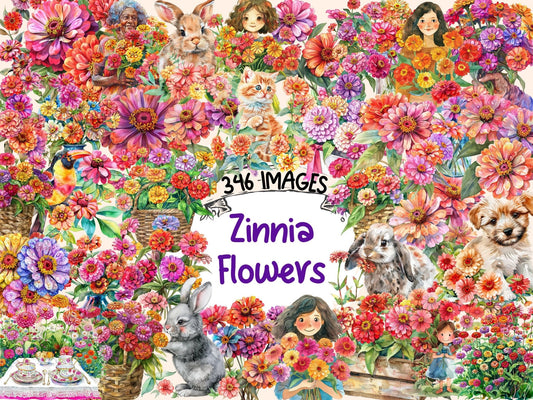 Zinnia Flowers Watercolor Clipart - High - Quality Instant Digital Download for Creative Projects